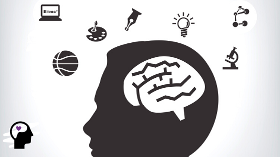 cerebro