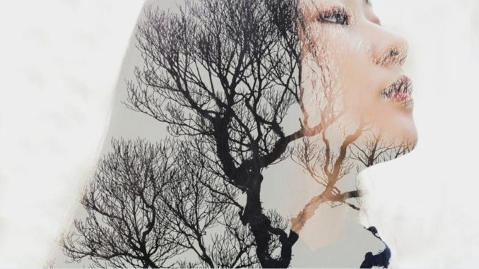 terapeuta ocupacional árbol como terapeuta