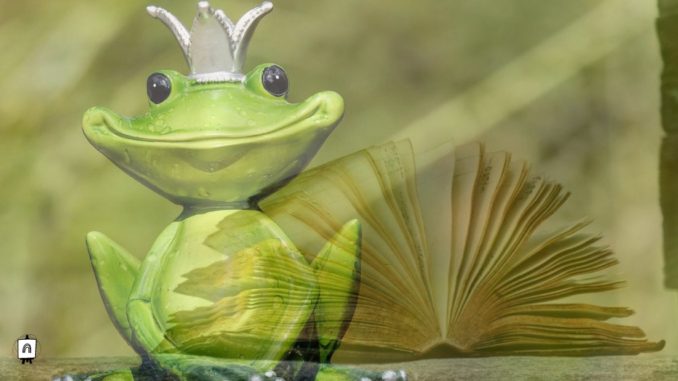 sapo principe cuento cuento de hadas