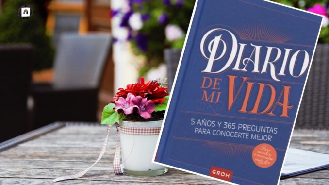 diario libro diario