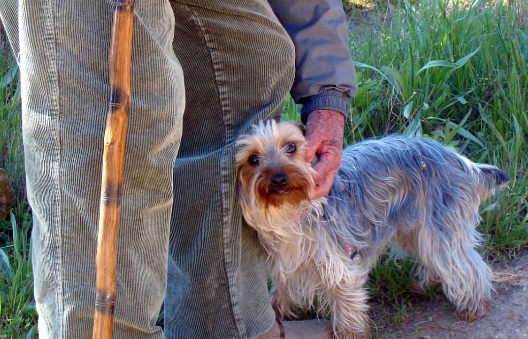 perro con abuelo