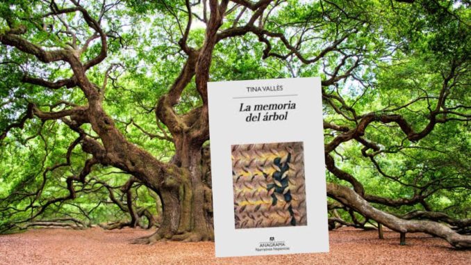 memoria del arbol libro memoria del arbol libro
