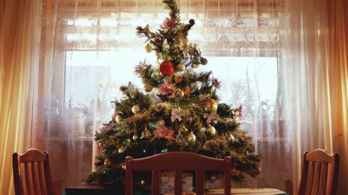 NOCHEBUENA nochebuena arbol