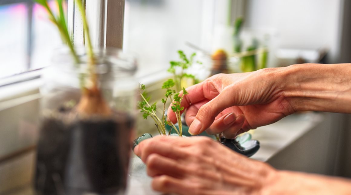 jardineria personas con demencia