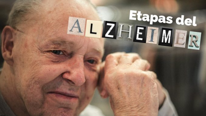 etapas del alzheimer etapas del alzheimer