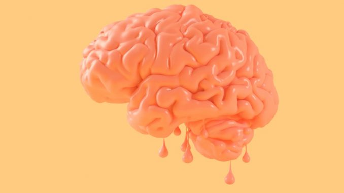 cerebro cerebro
