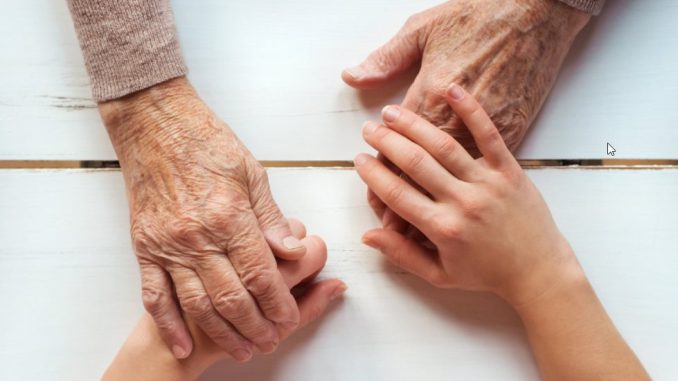abuelos y nietos abuelos y nietos