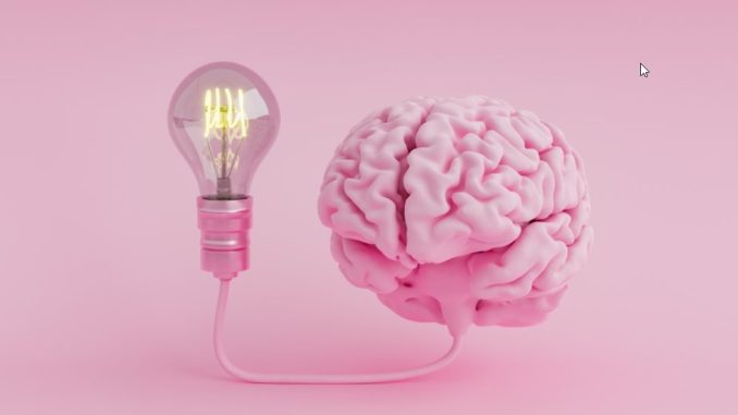cerebro cognitivo cerebro cognitivo